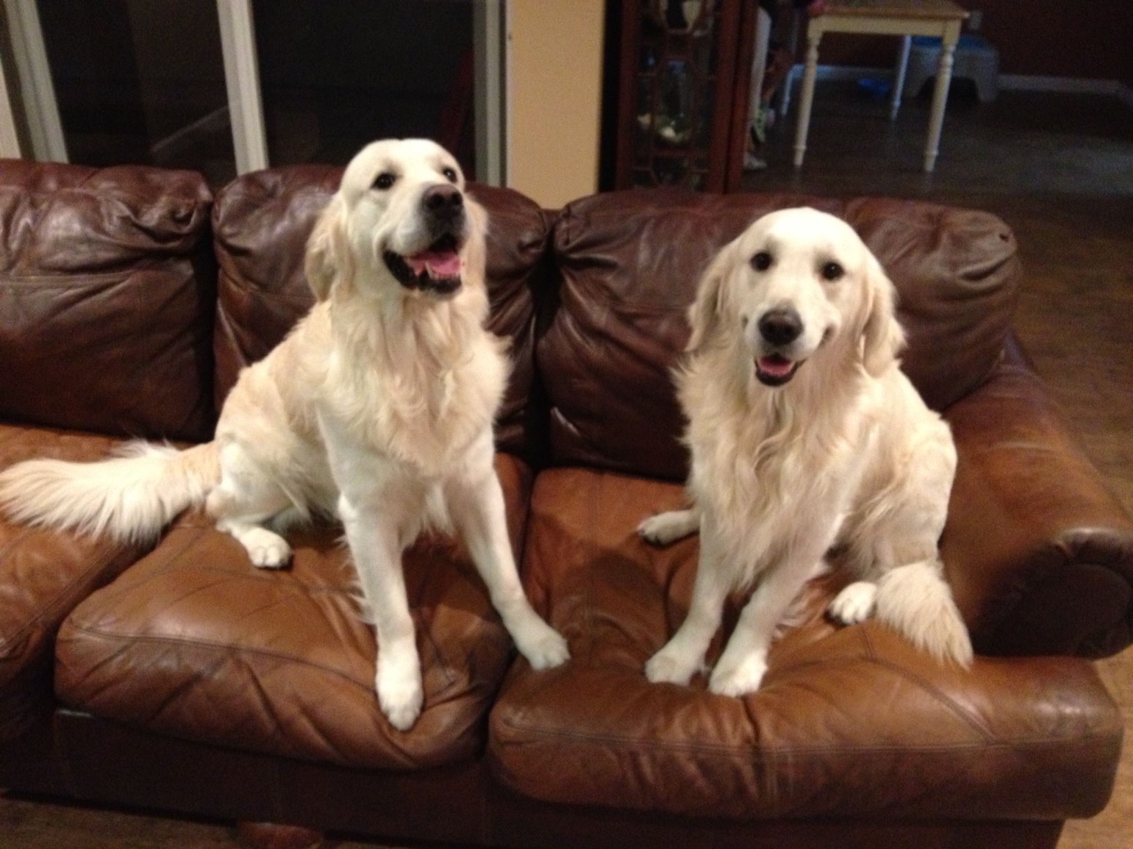 Brody and Griffin 11 26 15